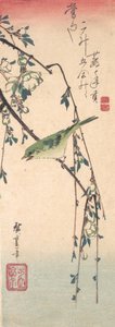 Zanger op een pruimentak, ca. 1835 door Ando Hiroshige