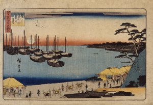 (Zeilboten In Haven)