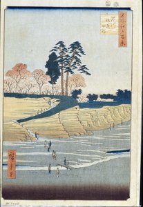 Honderd beroemde uitzichten van Edo: Palace Hill in Shinagawa door Ando or Utagawa Hiroshige