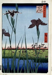 Honderd beroemde uitzichten van Edo: irissen in Horikiri door Ando or Utagawa Hiroshige
