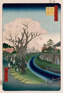 Kersenbloesems, Tama-rivierdijk door Ando or Utagawa Hiroshige