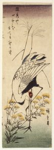 Kraanvogel met Wilde Mosterd door Ando or Utagawa Hiroshige