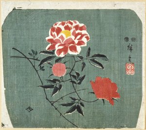 Fan Print: Roos door Ando or Utagawa Hiroshige