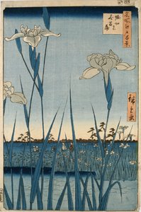 Horikiri Iris Tuin