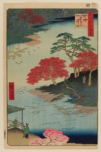 Binnen Akiba-heiligdom, Ukeji door Ando or Utagawa Hiroshige