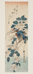 IJsvogel en Viburnum door Ando or Utagawa Hiroshige