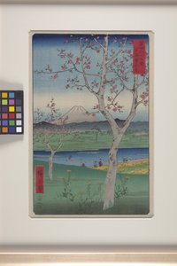 Koshigaya in de provincie Musashi