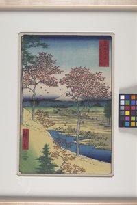 Meguro