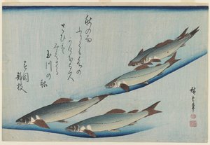 School van Vijf Zeeforellen, Edo Periode (kleur houtsnede op papier) door Ando or Utagawa Hiroshige