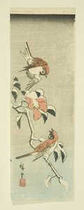 Mussen en camelia in de sneeuw door Ando or Utagawa Hiroshige