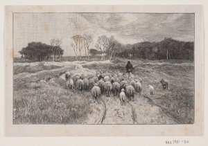 Landschap met schapen en herder door André Bork
