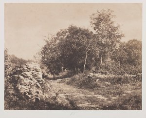 Zonder Titel (Scène van Fontainbleau)