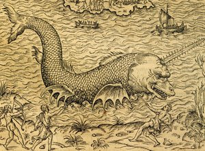 Zee monster, gravure uit Universele Kosmologie, door Andre Thevet (1504-1592), Parijs door Andre Thevet