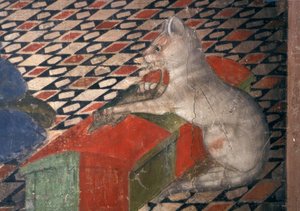 Kathedraal van Atri, Kat