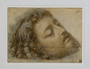 Hoofd van Johannes de Doper ... door Andrea Solario