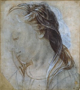 Vrouwelijk hoofd door Andrea Verrocchio