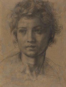 Hoofd van Johannes de Doper door Andrea del Sarto
