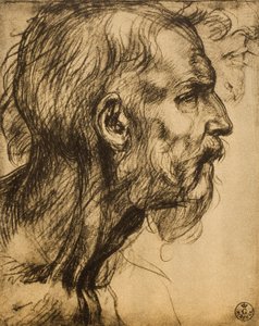 Hoofd van de profeet Zacharia door Andrea del Sarto
