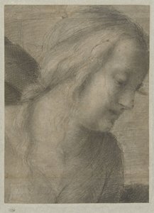 Hoofd van Maria, in een Aanbidding door Andrea del Sarto