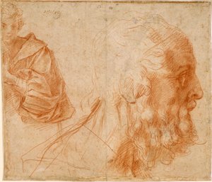 Een jongeman en het hoofd van een oude man (Homerus?) door Andrea del Sarto