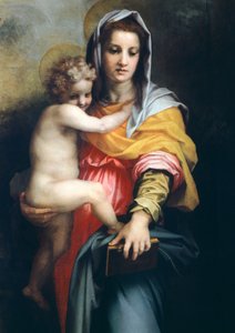 Madonna met kind (detail) door Andrea del Sarto