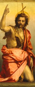 Schilderij van Johannes de Doper door Andrea del Sarto