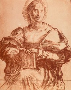 Portret van Lucrezia del Fede door Andrea del Sarto