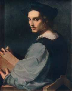 Portret van een Jonge Man door Andrea del Sarto