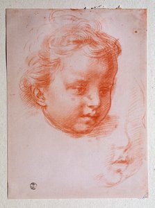 Hoofd van een putto door Andrea del Sarto