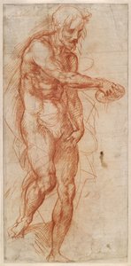 Studie van Johannes de Doper, ca. 1518 door Andrea del Sarto