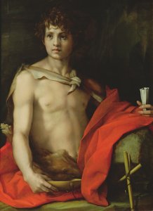 St. Johannes de Doper, 1522 door Andrea del Sarto