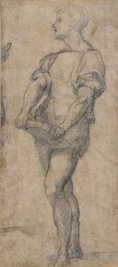 Staande jongeling met een boek, ca. 1515 door Andrea del Sarto