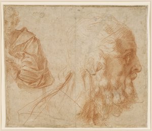  door Andrea del Sarto