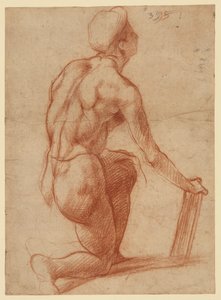  door Andrea del Sarto