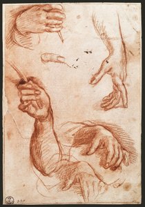 Studie van handen (houtskooltekening) door Andrea del Sarto