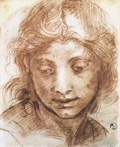 Studie van het hoofd van een jonge vrouw door Andrea del Sarto