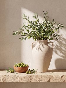 Rustieke mediterrane olijven