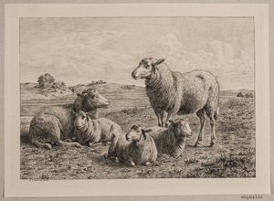 Schapen en lammeren op het veld door Andreas Peter Madsen