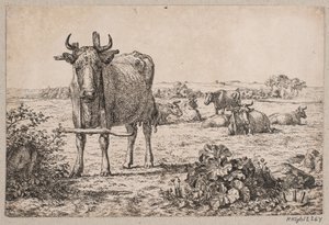Landschap met koeien