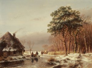 De rand van het bos