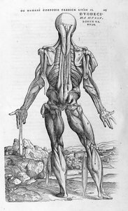Andrea Vesalio (1514 - 1564), arts van Karel V. 