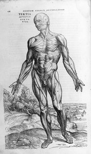 Andrea Vesalio (1514 - 1564), arts van Karel V. 