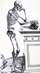 Menselijk Skelet met Schedel in de Hand. Uit "De Humani Corporis Fabrica" van Vesalius. Mogelijke Houtsnijder: Jan van Calcar
