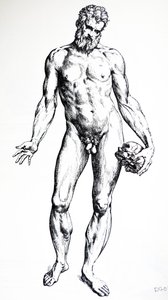 De platen uit het zevende boek van de De Humani Corporis Fabrica