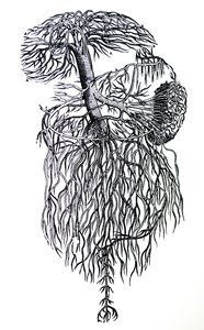 De platen uit het derde boek van de De Humani Corporis Fabrica door Andreas Vesalius