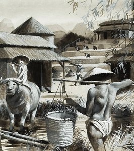 Landbouw in China (gouache op papier) door Andrew Howat