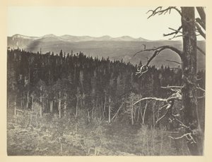 Sneeuw- en houtlijn, Medicine Bow Mountain