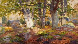 Herfstzonlicht na regen, Fontainebleau door Andrew MacCallum