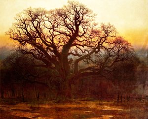 Major Oak, Sherwood Forest, Nottinghamshire, 1882 door Andrew MacCallum