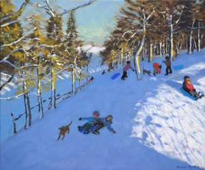 Familie sleeën, Youlgreave, Derbyshire, 2016 door Andrew Macara